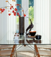 Vertical Blinds are versatile window coverings