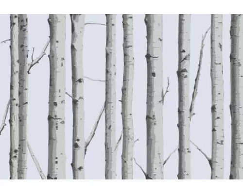 230v Electric Roller Blinds, Wired Operation WOODLAND RB SILVER BIRCH