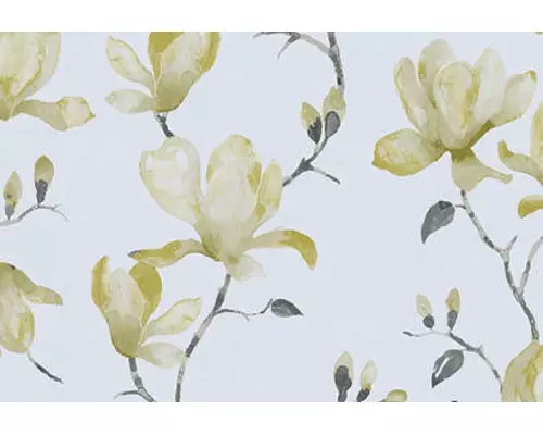 Standard Roller Blinds MAGNOLIA RB PIPIN